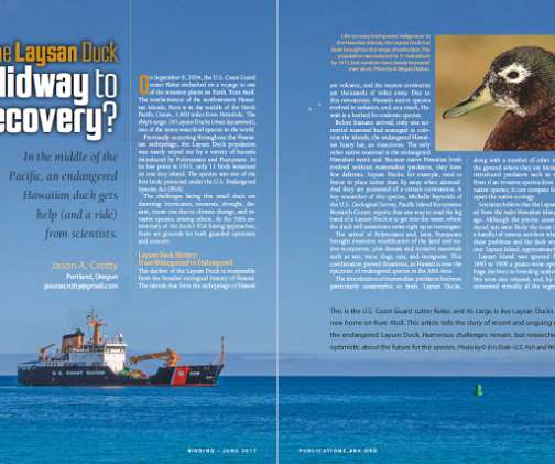 article thumbnail
